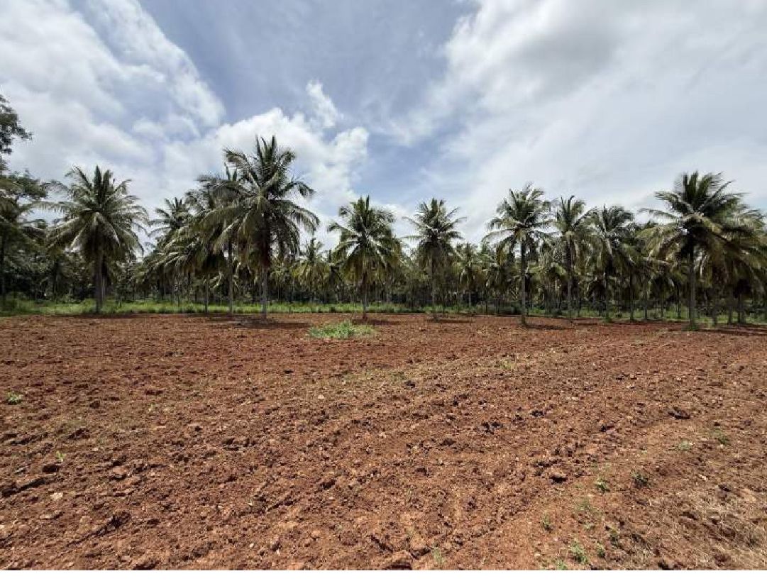 30 Acres of Land for Sale – Hunasuru, Mysore District